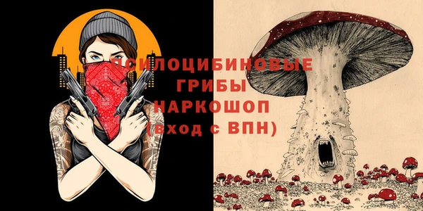 мяу мяу мука Абдулино